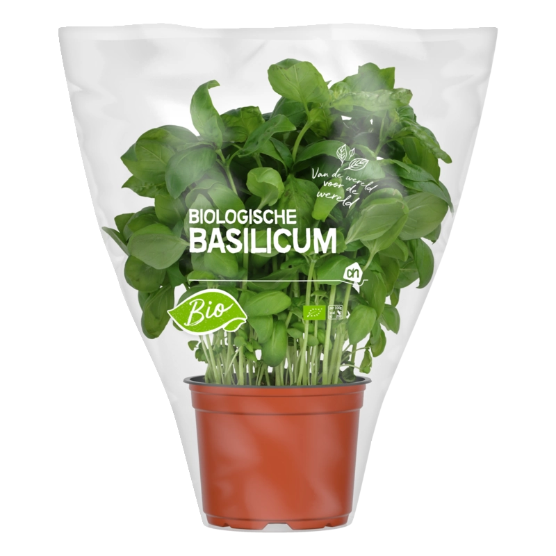 AH Biologisch Basilicum pot