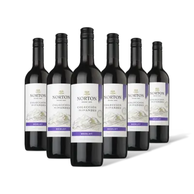 pdp-image-Norton Colección merlot 6 flessen