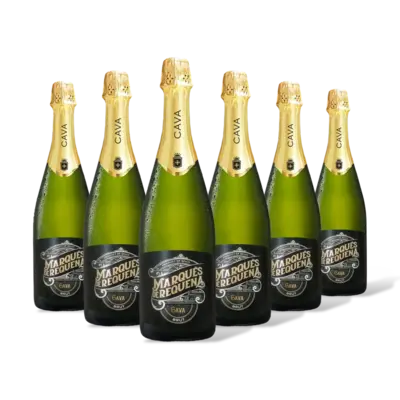 pdp-image-Marqués de Requena Brut 6 flessen