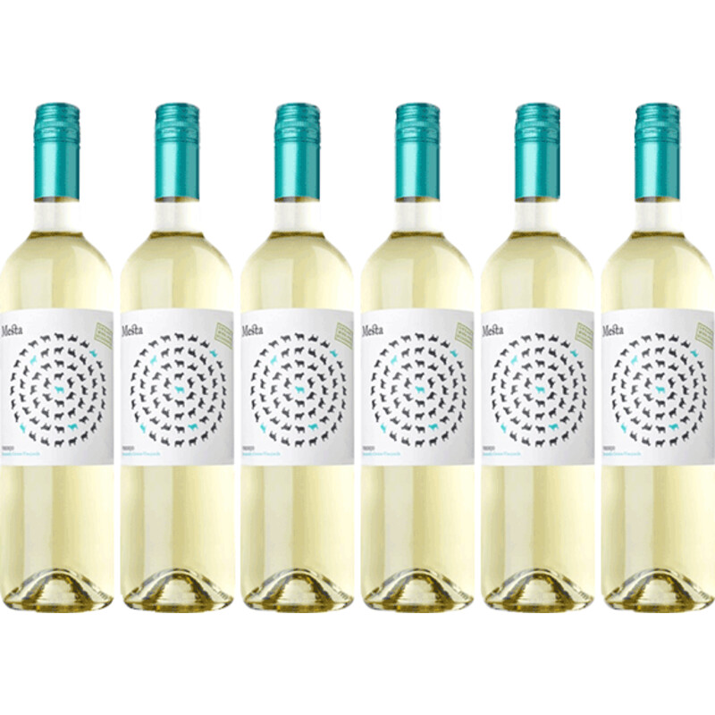 Een afbeelding van Mesta Verdejo organic wine 6 flessen