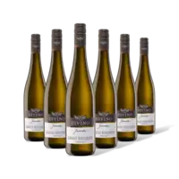 Divino Juventa grauburgunder 6 flessen