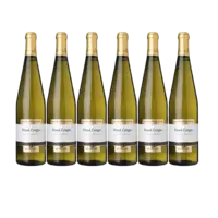 Mastri Vernacoli Pinot grigio 6 flessen