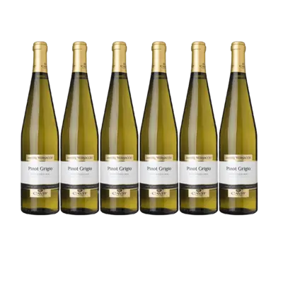 pdp-image-Mastri Vernacoli Pinot grigio 6 flessen