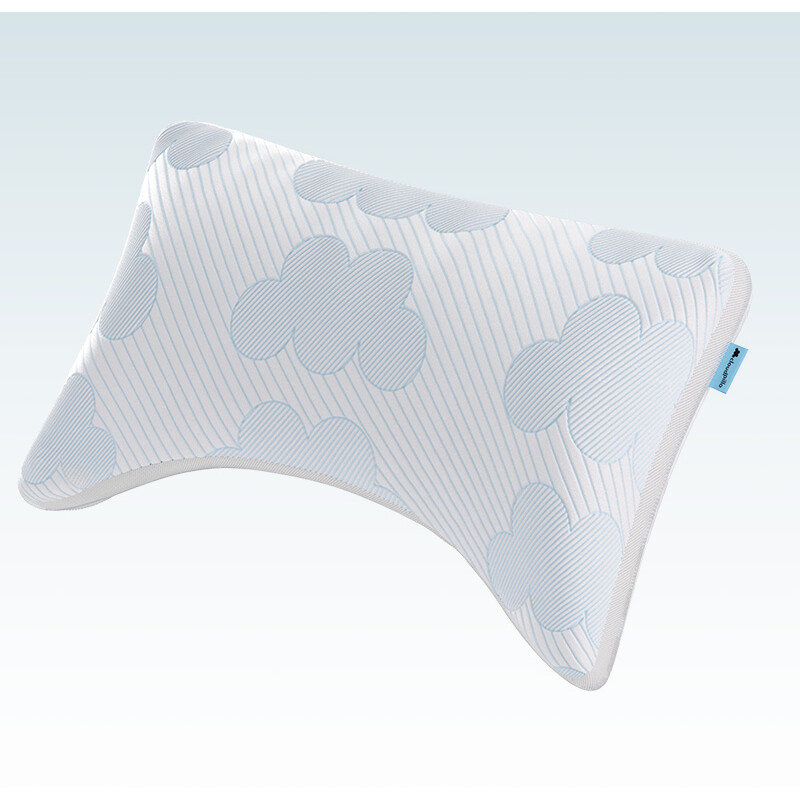 Een afbeelding van Cloudpillo Plus