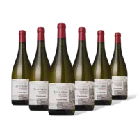 Zuccardi Chardonnay 6 flessen