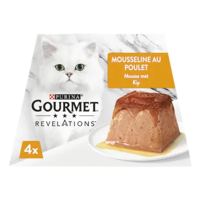 pdp-image-Gourmet Revelations mousse met kip