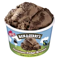 Ben & Jerry's Chocolate fudge brownie