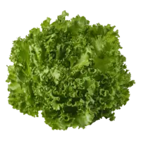 AH Crispy green sla