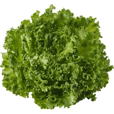 pdp-image-AH Crispy green sla