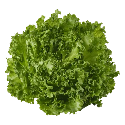 pdp-image-AH Crispy green sla