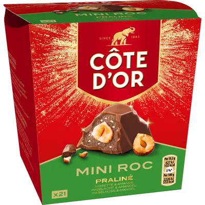 pdp-image-Côte d'Or Mini roc praline