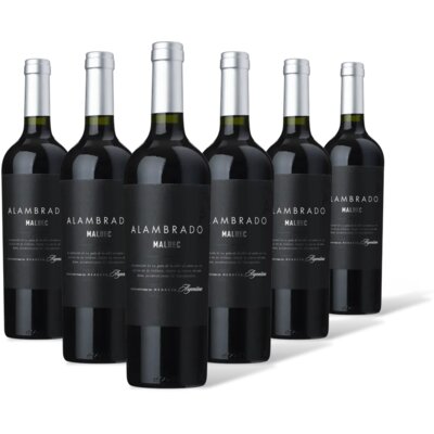 pdp-image-Zuccardi Alambrado Malbec 6 flessen