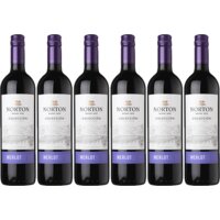 Een afbeelding van Norton Colección merlot 6 flessen
