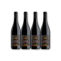 Terre di Verona Amarone 4 flessen