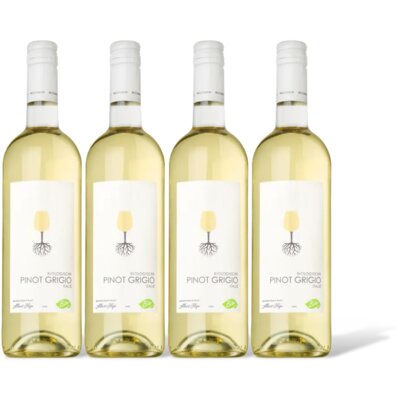 pdp-image-AH Biologisch Pinot grigio 4 flessen