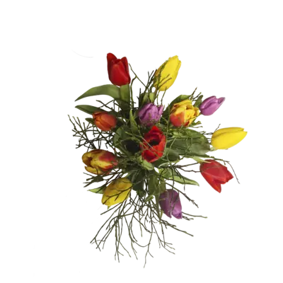 pdp-image-AH Mix tulpen