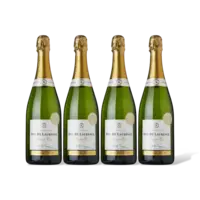 AH Excellent Champagne Premier Cru 4 flessen