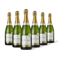 AH Excellent Selectie champagne brut Cru 6 flessen