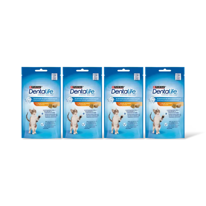 Met heerlijke kip 4-pack