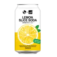 Fruit.B Lemon slice soda