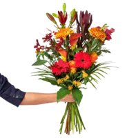 AH Vrolijk veldboeket rood/oranje klein