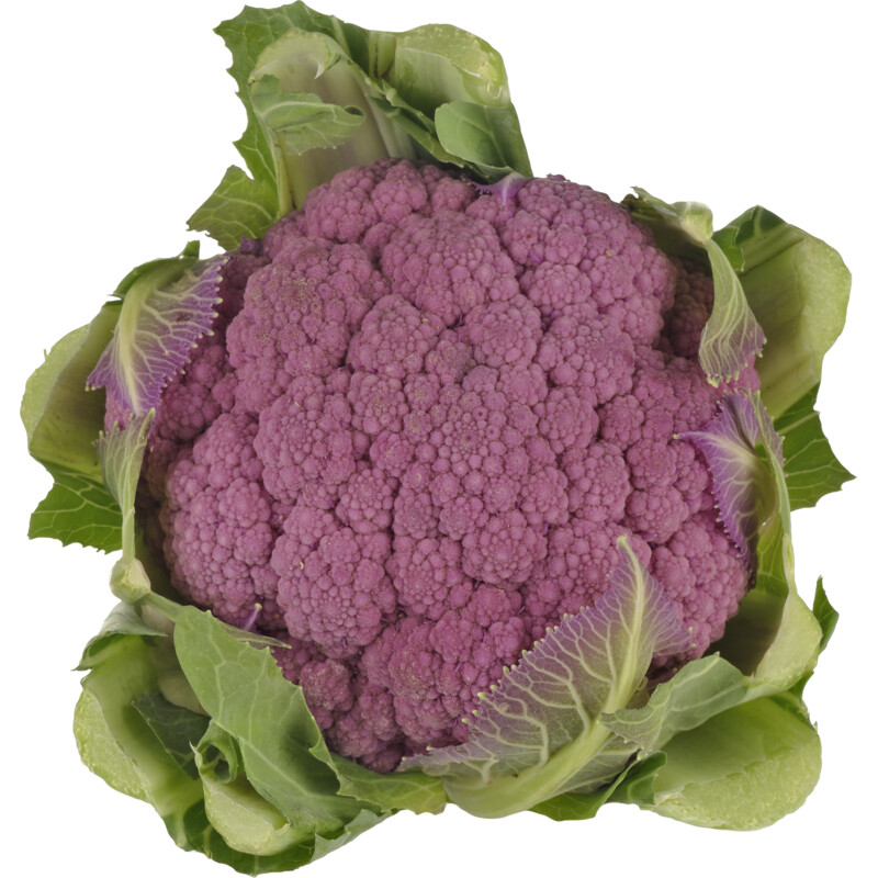 Een afbeelding van AH Mini paarse bloemkool