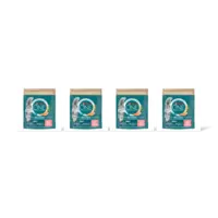 Purina ONE Adult rijk aan zalm 4-pack