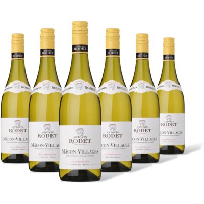 pdp-image-Antonin Rodet Mâcon-villages blanc 6 flessen