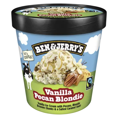 pdp-image-Ben & Jerry's Vanilla pecan blondie