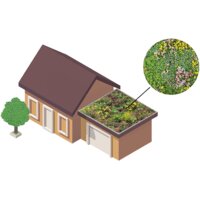 Een afbeelding van de Dakvergroeners Groendak lichtgewichtsysteem 6m2