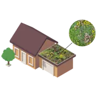 de Dakvergroeners Groendak lichtgewichtsysteem 6m2