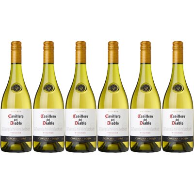 pdp-image-Casillero del Diablo Viognier reserva 6 flessen