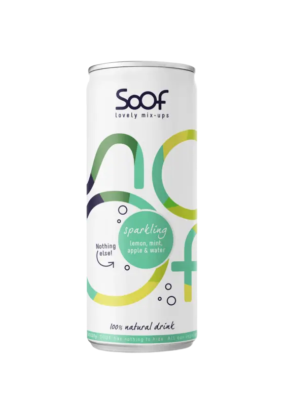 Sparkling Natural Drink with Lemon, Mint, Apple and Water 250ML