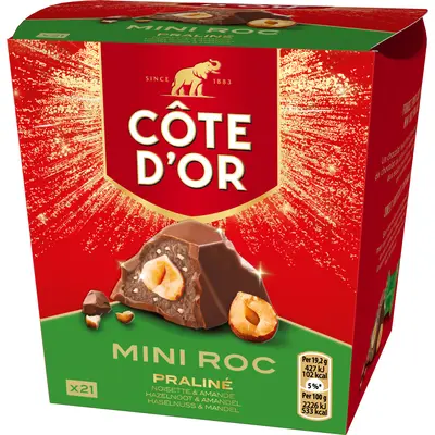 pdp-image-Côte d'Or Mini roc praline