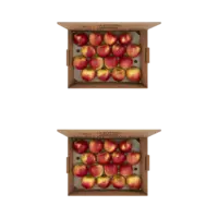AH Fruitbox appels 2-pack