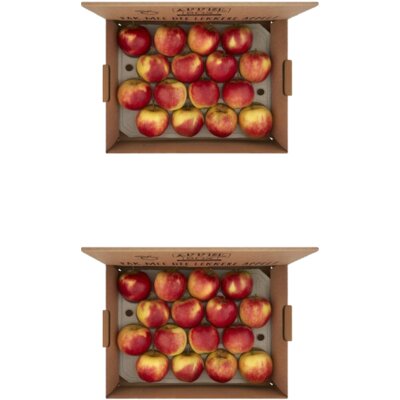 pdp-image-AH Fruitbox appels 2-pack