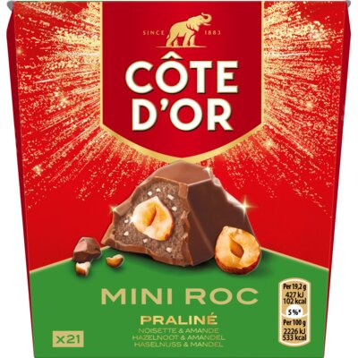 pdp-image-Côte d'Or Mini roc praline