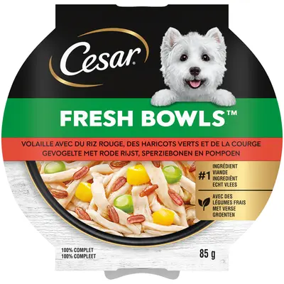 pdp-image-Cesar Fresh bowls eend, rijst en wortelen