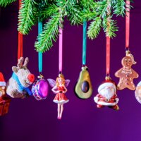 Een afbeelding van AH Excellent Hanger rudy