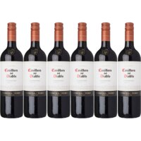 Een afbeelding van Casillero del Diablo Carménère reserva 6 flessen