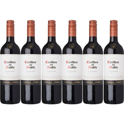 pdp-image-Casillero del Diablo Carménère reserva 6 flessen