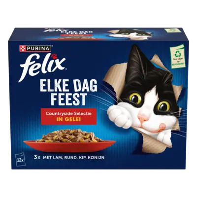 pdp-image-Felix Elke dag feest countryside gelei