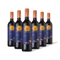 Settesoli Nero d'avola 6 flessen