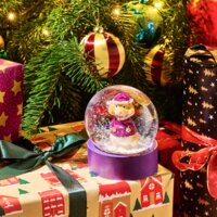 Een afbeelding van AH Excellent Snowglobe Harrie