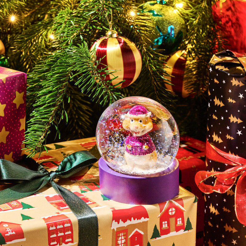 Een afbeelding van AH Excellent Snowglobe Harrie