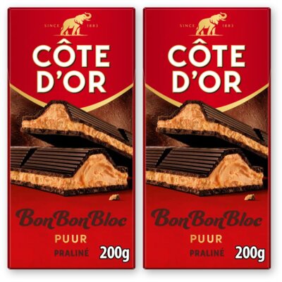 pdp-image-Côte d'Or BonBonBloc praliné puur 2-pack