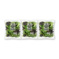 AH Jonge bladsla rucola kleinverpakking 3pk