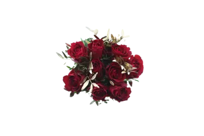 pdp-image-AH Moederdag rozen gmd