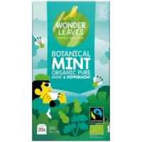 WonderLeaves Botanical mint
