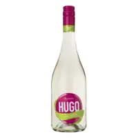 Faszination Hugo